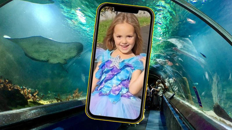 Little gal hyped for aquarium visit goes viral for teaching everyone Māori sea creature names