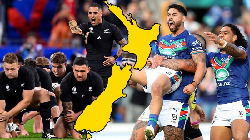 Warriors or All Blacks? Google NZ reveals the most-searched for sports team of 2023