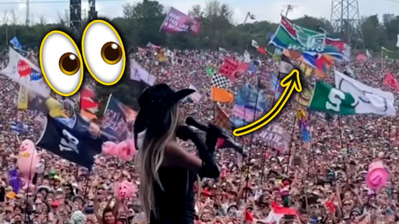 NZ Warriors fans reckon this Kiwi flag spotted at Glastonbury is 'the best' of the bunch